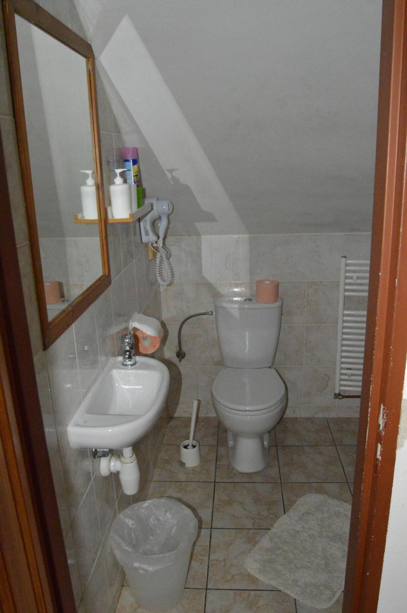 Restaurace A Penzion U Lva كارلستين المظهر الخارجي الصورة